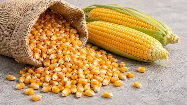 Corn