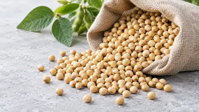 Soybean